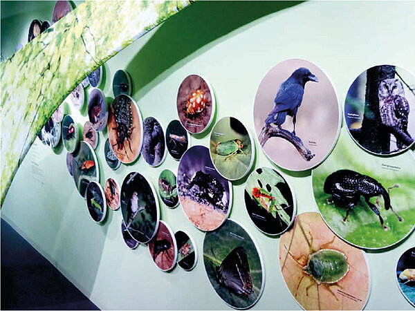 Vogelsang IP – Erleben mit allen Sinnen